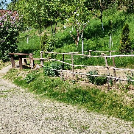 Cabana Victor Sighetu Marmaţiei Dış mekan fotoğraf