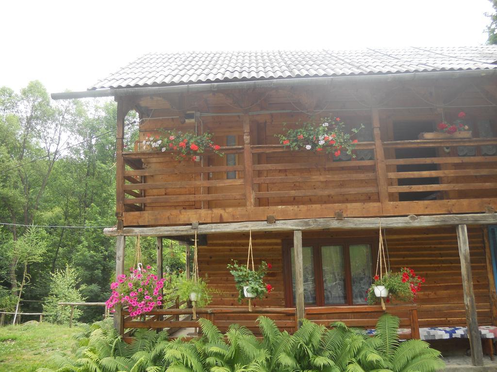 Cabana Victor Sighetu Marmaţiei Oda fotoğraf