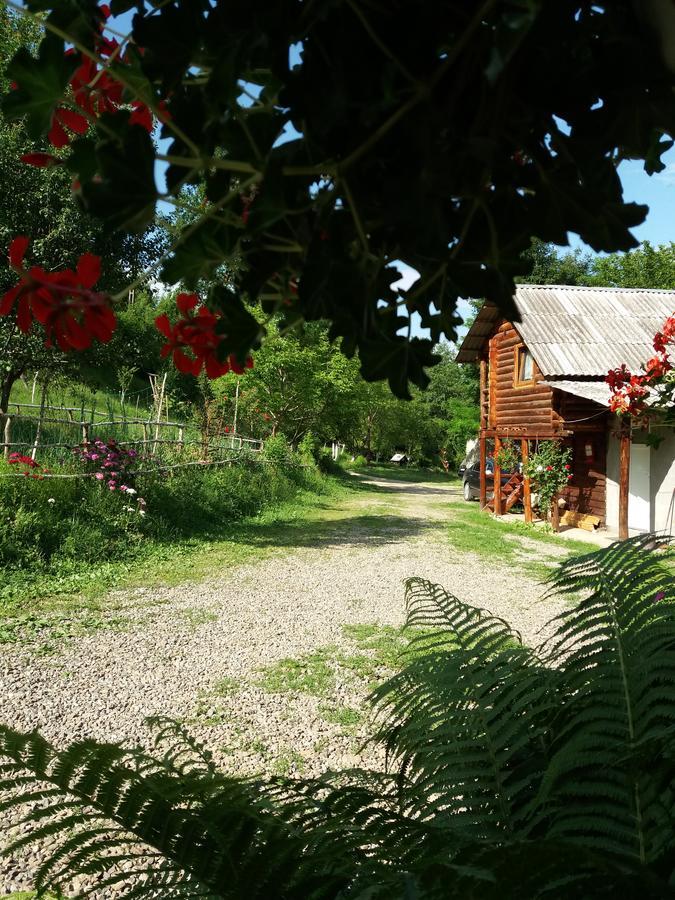 Cabana Victor Sighetu Marmaţiei Dış mekan fotoğraf