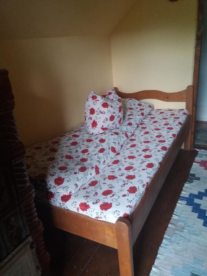 Cabana Victor Sighetu Marmaţiei Dış mekan fotoğraf