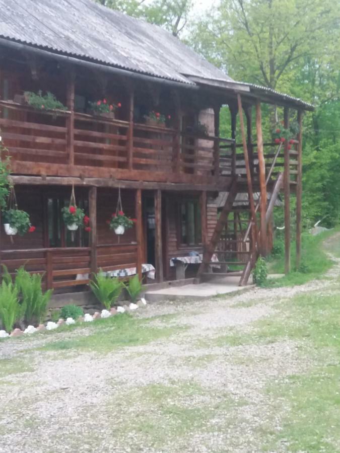 Cabana Victor Sighetu Marmaţiei Dış mekan fotoğraf